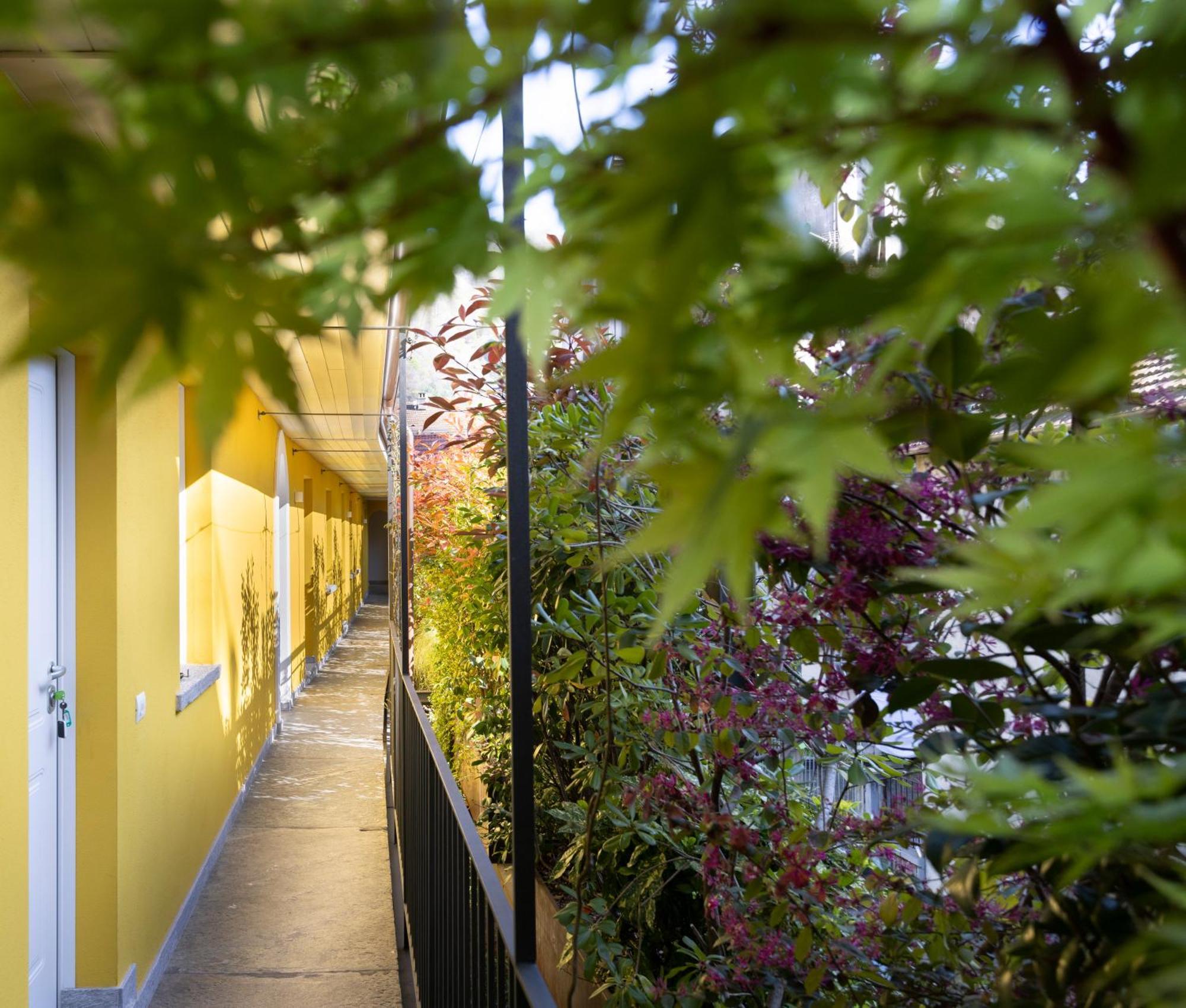 Residence Casa Coppa Appartamento Ivy โอเมญา ภายนอก รูปภาพ